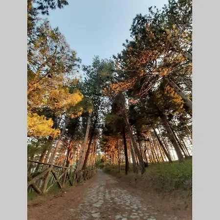 Casa Vacanza Ad Aieta 公寓 *